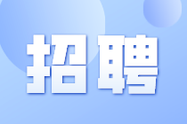 安永商务咨询︱审计助理︱大连