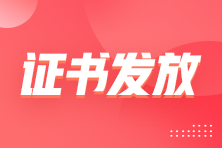 海南2021年中级审计师证书发放应关注哪个网站？