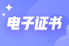 初中级审计师推行电子证书 与纸质证书具有同等法律效力！