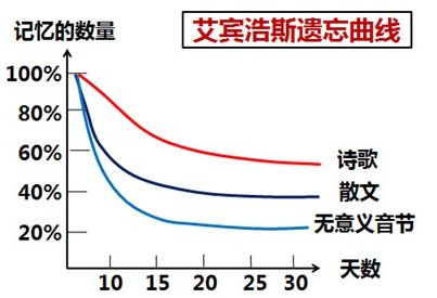 “注会知识点学完就忘怎么办？如何能提高记忆力？