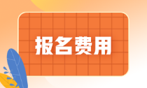 辽宁省2022年初级会计职称考试报名费是多少？