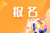 税务师报名