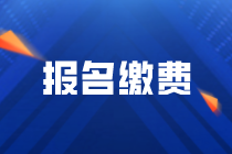 辽宁2022年审计师考试报名截止到7月24日24:00