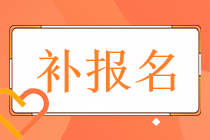 2022年税务师考试的补报名条件是什么？