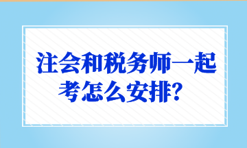 注会和税务师一起考怎么安排？