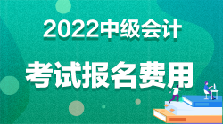 速看！中级会计职称报名费能报销吗？