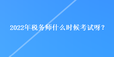 2022年税务师什么时候考试呀？