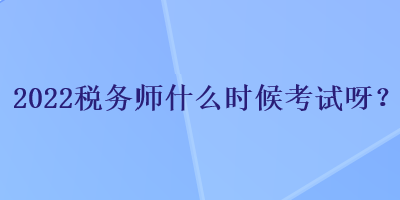 2022税务师什么时候考试呀？