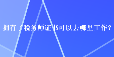 拥有了税务师证书可以去哪里工作？