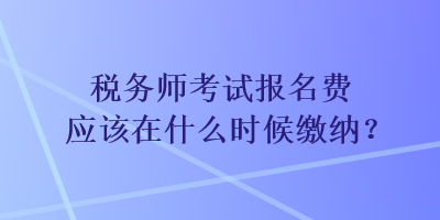 税务师考试报名费应该在什么时候缴纳？