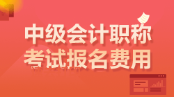 中级会计考试报名费用