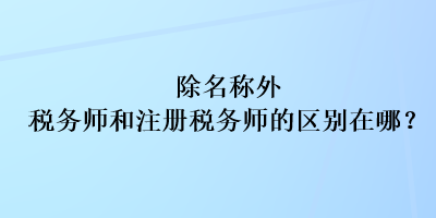 除名称外税务师和注册税务师的区别在哪？