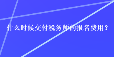 什么时候交付税务师的报名费用？