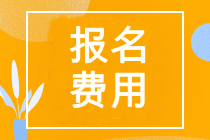 初级会计考试的报名费多少钱一科？