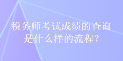 税务师考试成绩的查询是什么样的流程？