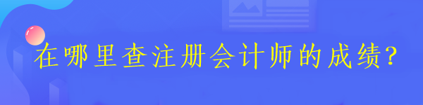 在哪里查注册会计师的成绩？