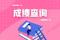 什么时候出注册会计师考试成绩？