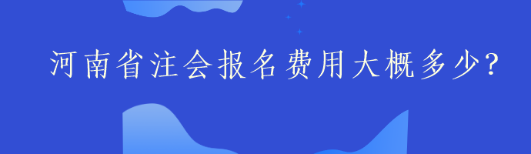 河南省注会报名费用大概多少？