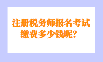 注册税务师报名考试缴费多少钱