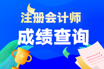 注册会计师成绩怎么查？