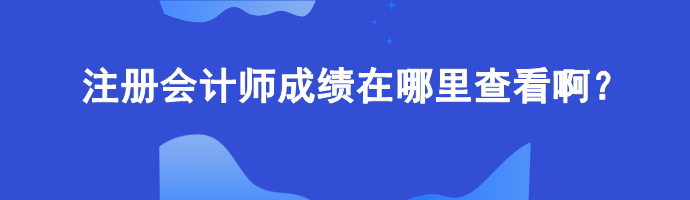 注册会计师成绩在哪里查看啊？