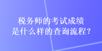 税务师的考试成绩是什么样的查询流程？