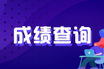 中国注册会计师成绩怎么查询呢？