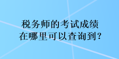 税务师的考试成绩在哪里可以查询到？