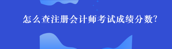 怎么查注册会计师考试成绩分数？