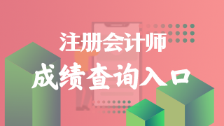 2022年注册会计师成绩查询入口是什么？