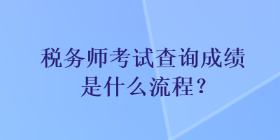 税务师考试查询成绩是什么流程？