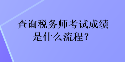 查询税务师考试成绩是什么流程？