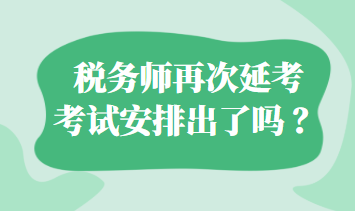 税务师再次延考考试安排出了吗 ？