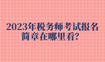 2023年税务师考试报名简章在哪里看？