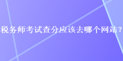 税务师考试查分应该去哪个网站？