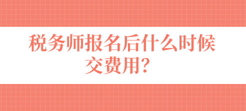 税务师报名后什么时候交费用？