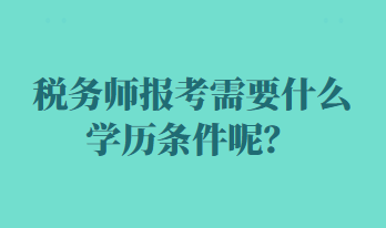 税务师报考需要什么学历条件呢？