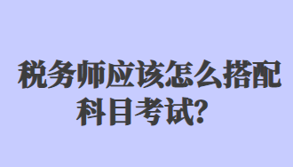 税务师应该怎么搭配科目考试？