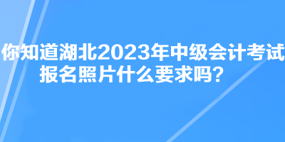 你知道湖北2023年中级会计考试报名照片什么要求吗？