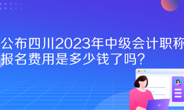  公布四川2023年中级会计职称报名费用是多少钱了吗？