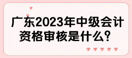 广东2023年中级会计资格审核是什么？