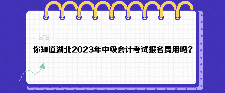 你知道湖北2023年中级会计考试报名费用吗？