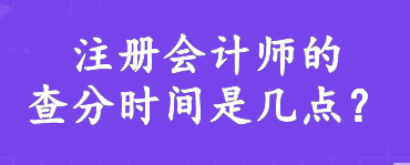 注册会计师的查分时间是几点？