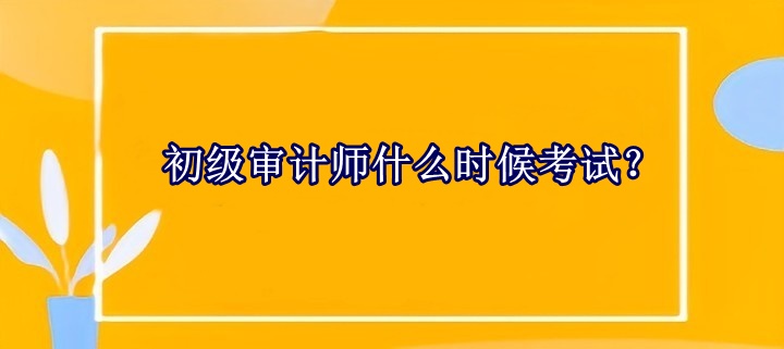 初级审计师什么时候考试？