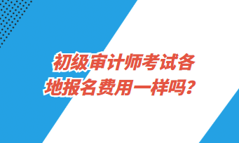 初级审计师考试各地报名费用一样吗？