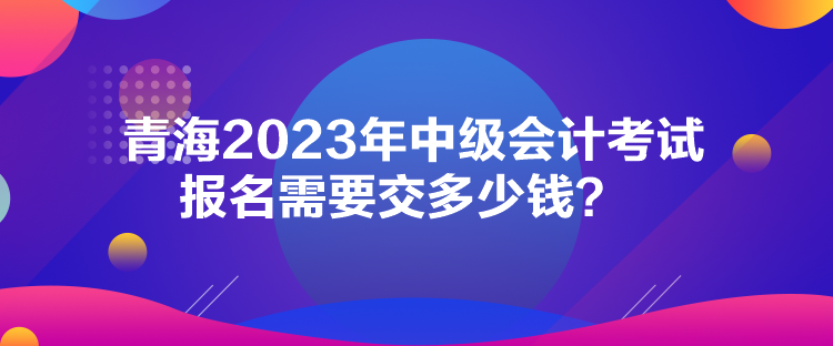 青海2023年中级会计考试报名需要交多少钱？