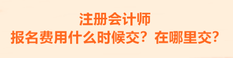 2023年注册会计师报名费用什么时候交的啊？