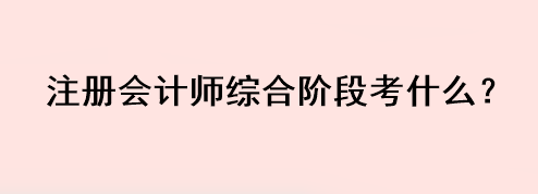 注册会计师综合阶段考什么？