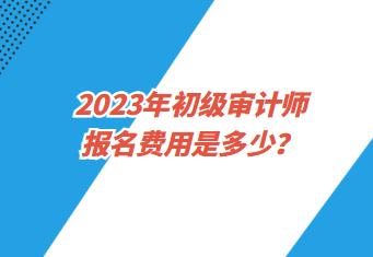 2023年初级审计师报名费用是多少？