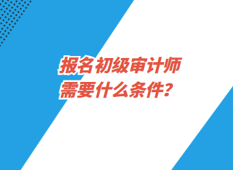 报名初级审计师需要什么条件？